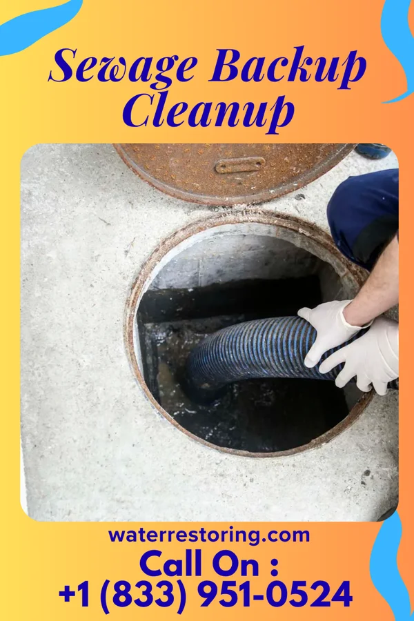 Sewage Backup Cleanup in Girard, OH