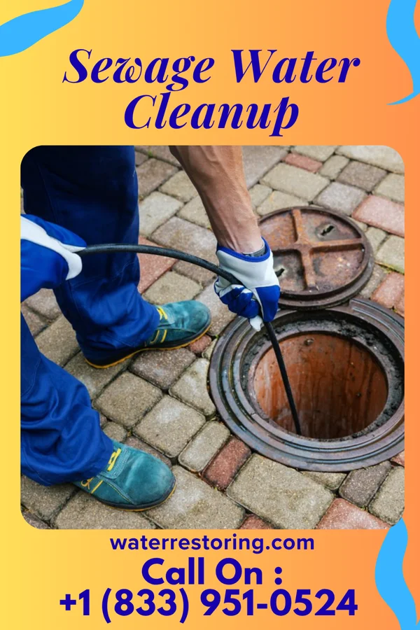 Sewage Water Cleanup in Girard, OH