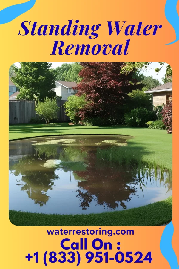 Standing Water Removal in Girard, OH